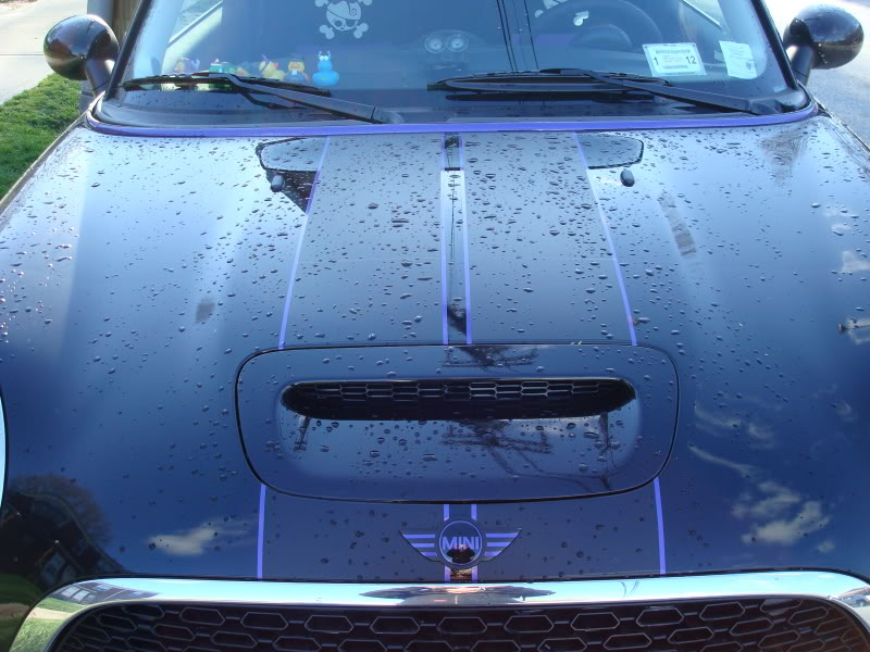 Name:  DSC00488.jpg
Views: 55
Size:  94.6 KB