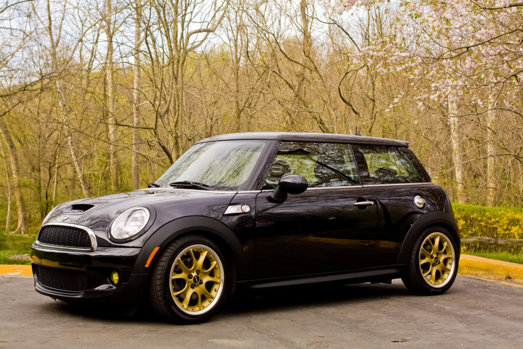 Name:  Mini_gold.jpg
Views: 2003
Size:  232.1 KB