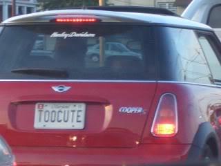 Name:  CIMG6200.jpg
Views: 72
Size:  45.8 KB