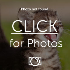 Name:  photo-4.jpg
Views: 180
Size:  14.0 KB
