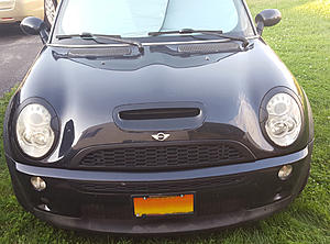 What did you do to your mini today?-182043.jpg