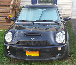 What did you do to your mini today?-182450.jpg