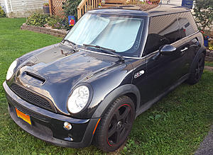 What did you do to your mini today?-182517.jpg