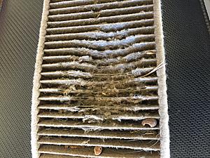Ridiculous Cabin Air Filter Design-img_6436.jpg
