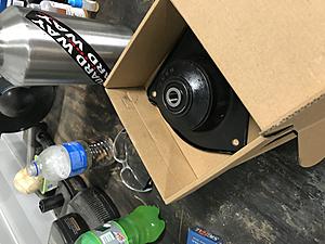 What did you do to your mini today?-7592434e-f89f-4031-b55d-cbaf36359690.jpeg