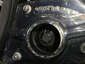 What did you do to your mini today?-20132e9b-8043-419e-a0b4-1228c0dd8a98.jpeg