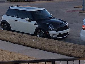 What did you do to your mini today?-972b7c9f-dea2-42b4-b6e0-86f13c4b67b0.jpeg