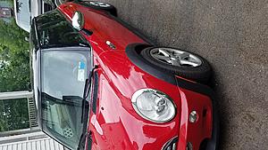 What did you do to your mini today?-2017-07-23-16.04.27.jpg