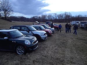 What did you do to your mini today?-minis-quarryville.jpg