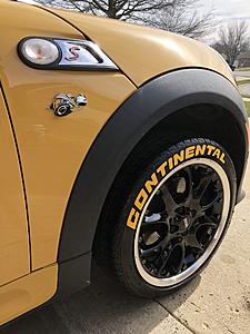 What did you do to your mini today?-a957707e-77d0-4161-8518-546c51911066.jpeg