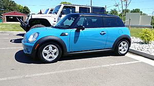 What did you do to your mini today?-ruckus.jpg
