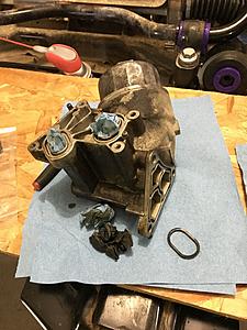 What did you do to your mini today?-54880588625__0910458a-5dbe-438e-b768-1263f9653133.jpg