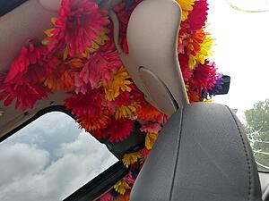 Happy in heaven-wzegnab.jpg