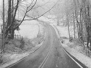 Taking the Alternate Route-abfz51d.jpg
