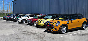 What did you do to your mini today?-hggptwt.jpg