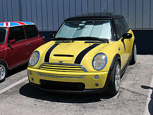 What did you do to your mini today?-wpnsqpn.jpg
