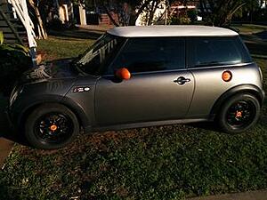What did you do to your mini today?-iwmyf16m.jpg