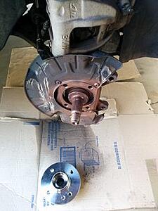 What did you do to your mini today?-abgpnebm.jpg