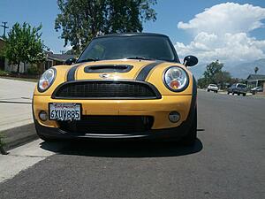 What did you do to your mini today?-eq73mzs.jpg
