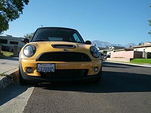 What did you do to your mini today?-cfozs02.jpg