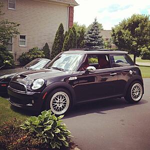 What did you do to your mini today?-lllz6kjh.jpg