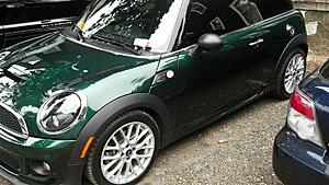 What did you do to your mini today?-71uux.jpg