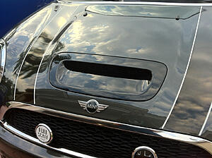 What did you do to your mini today?-6nttg.jpg