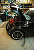 Requesting pics of aggressive MINIs-805849924_6adde83a06.jpg