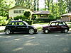 The Official Matching Roof and Body Color Club-classic-mini-and-yard-flowers-046.jpg