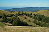 Napa Twisties?-marin_2.jpg