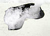 A bizarre winter mystery for you-1.jpg