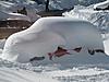 Got Snow?-snow-mini.jpg