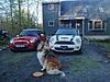 The Peerage of the Pepper White-collieminis1.jpg