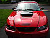 So I drive my Mustang today-mustang-hood.jpg