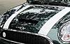 Custom stripe opinion-joe-sbrgmini-bonnet-stripe.jpg