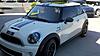 The Peerage of the Pepper White-white-2011-mini-small.jpg
