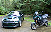 Official British Racing Green Thread-stablemates-small.jpg