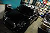 The OFFICIAL Midnight Black Owners Club-zebra4.jpg
