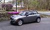 To stripe or not to stripe that is the question?-imag0295.jpg
