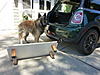 New MINI &amp; cargo hatch conversion for our dog-p1000864.jpg