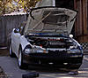 Engine Carbon Buildup Problem census count-23796habitat.jpg