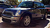 What did you do to your mini today?-image-3453970643.jpg