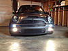 What did you do to your mini today?-image-2307057635.jpg