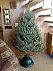 Merry Christmas to all!-image-868698732.jpg