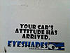 Eyes Windshield Shades-image-2410991875.jpg