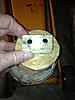 Jack Pad Adapter?-image-4036086578.jpg
