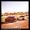 One family, Multiple Minis?-image-525941598.jpg