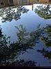 What did you do to your mini today?-cam00035.jpg