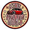 Want to join the League of Extraordinary MINIacs.-tloemgb01.jpg
