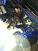 What did you do to your mini today?-image-1111203720.jpg